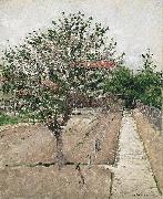 Gustave Caillebotte, Apple Tree in Bloom